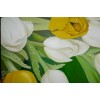 Tulipanes