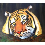 Tigre Paciente