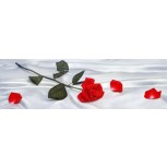 Rosa roja sobre sábana de seda PY-2133