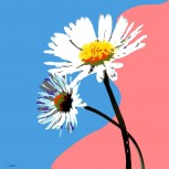 Buscando el cielo