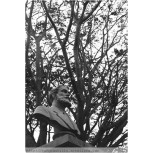 eterna soledad