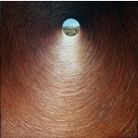 ''TUNEL'' Variaciones I