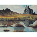Paisaje plumilla A
