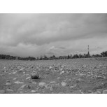 El Abandono