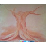 METAMORFOSIS