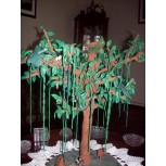 arbol dragon