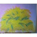 Mimosas.