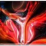 FRACTAL  ,  LLAMAS