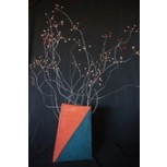 FLORECE EL BARRO