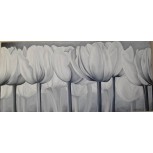 Tulipanes en  Blanco y negro.