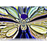 FRACTAL ,MARIPOSA