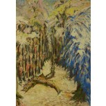 paisaje
