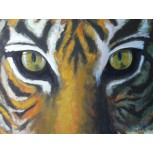 Tigre