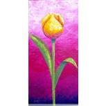 TULIPAN