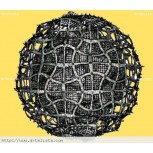 FRACTAL-CARCEL INTERESPACIAL