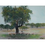paisaje