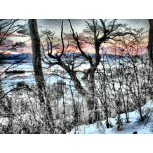 Aterdeceres Invernales en Ushuaia
