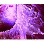 Netart/digital,   CALAMAR   GIGANTE DE LAS   PROFUNDIDADES