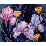iris