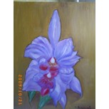 Lirio