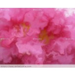 FLORES  DE ALMENDROS