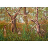 El Bosque de los Seres Mágicos
