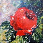ROSA ROJA