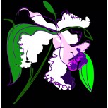 Orquidea #4