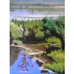 Las Tablas de Daimiel