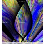 ABSTRACTO 10