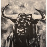 Toro V