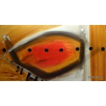 CUADRO ABSTRACTO Nº 529
