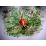 LA FRUTA DE LA GRANADA
