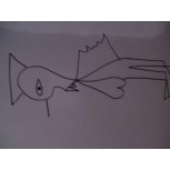 antomia de un ave rara