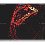 FRACTAL, DANZA FLAMENCA