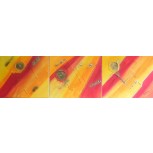 TRIPTICO MODERNO