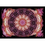 Petals