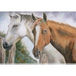 CABALLOS HISPANOS