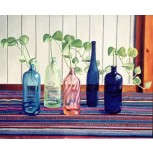 Botellas con manto y boa