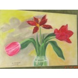 Tulipanes