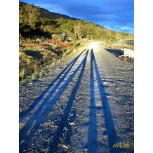 Danza al ocaso