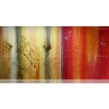 abstracto
