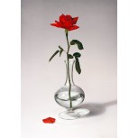 Jarrón de cristal con rosa roja (PY-JR01-R10)