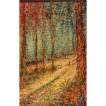 Camino de la luz 