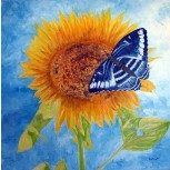 Butterfly I