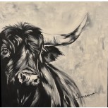 Toro II