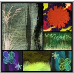 Collage Pop Flower (II)