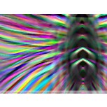 ALA  DE  MARIPOSA,  CALEIDOSCOPIO  DE   COLORES