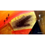 ABSTRACTO Nº 591
