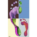 North Footprint